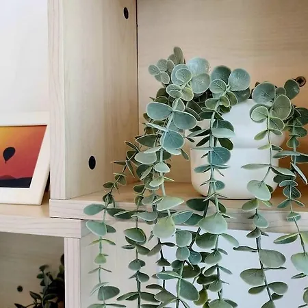 2 Bedroom Ground Floor Appartement