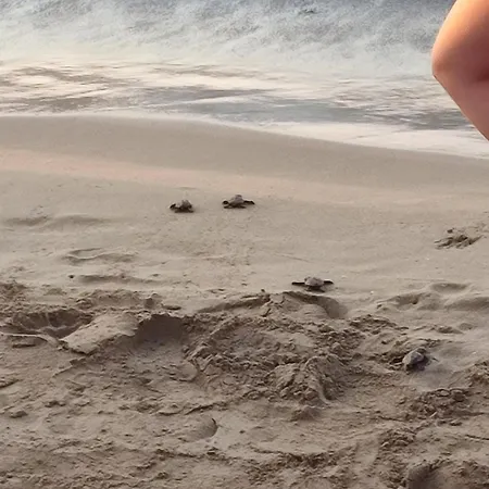 2 Bedroom Ground Floor *