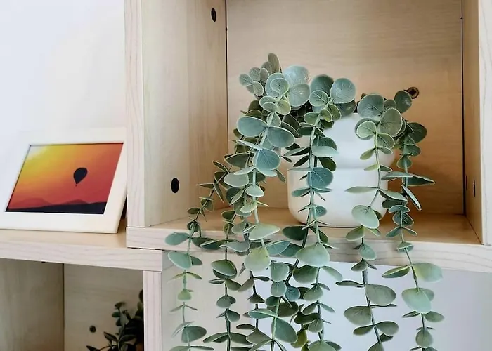 2 Bedroom Ground Floor Apartmán