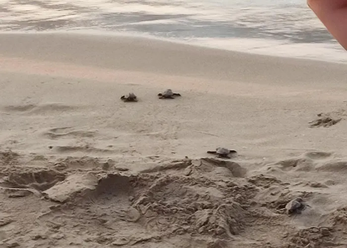 2 Bedroom Ground Floor *